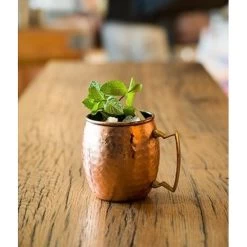 Cosy & Trendy Cocktailglazen Moscow Mule - Gehamerd Koper - 450 Ml -Het originele servies. 1000021170 0101