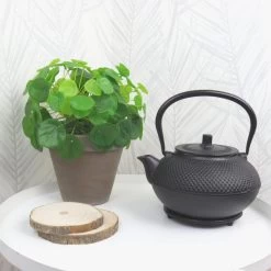 Orange85 Theepot Met Onderzetter Tetsubin Japans Theebus Zwart 1.5L Gietijzer -Het originele servies. 1000033126 0101