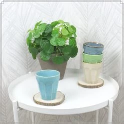 OTIX Cappuccino Kopjes 4 Stuks 250 Ml Porselein Hittebestendig Keuken 9 OTIX Cappuccino Kopjes 4 Stuks 250 Ml Porselein Hittebestendig Keuken -Het originele servies. 1000033200 0111