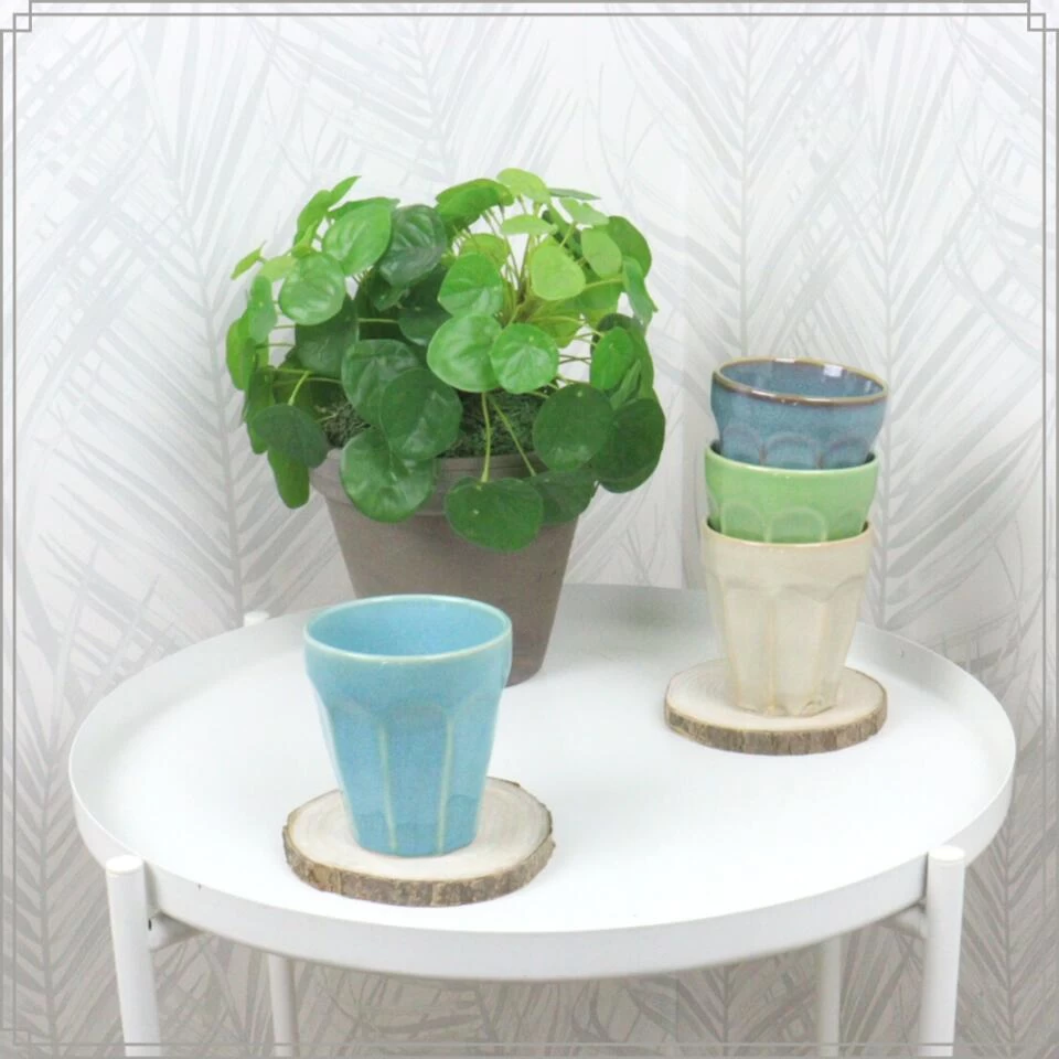 OTIX Cappuccino Kopjes 4 Stuks 250 Ml Porselein Hittebestendig Keuken 6 OTIX Cappuccino Kopjes 4 Stuks 250 Ml Porselein Hittebestendig Keuken - Afbeelding 4