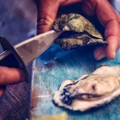 Orange85 Oestermes Met Siliconen Hulpmiddel Zwart En Blauw Oesters Openen 9 Orange85 Oestermes Met Siliconen Hulpmiddel Zwart En Blauw Oesters Openen -Het originele servies. 1000069721 0111