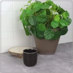 OTIX Espresso Kopjes Set Van 6 100 Ml Zwart -Het originele servies. 1000085460 0110