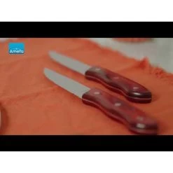 Amefa Hercule - 4 Steakmessen - Mahogany Red 9 Amefa Hercule - 4 Steakmessen - Mahogany Red -Het originele servies. 1000088805 0103